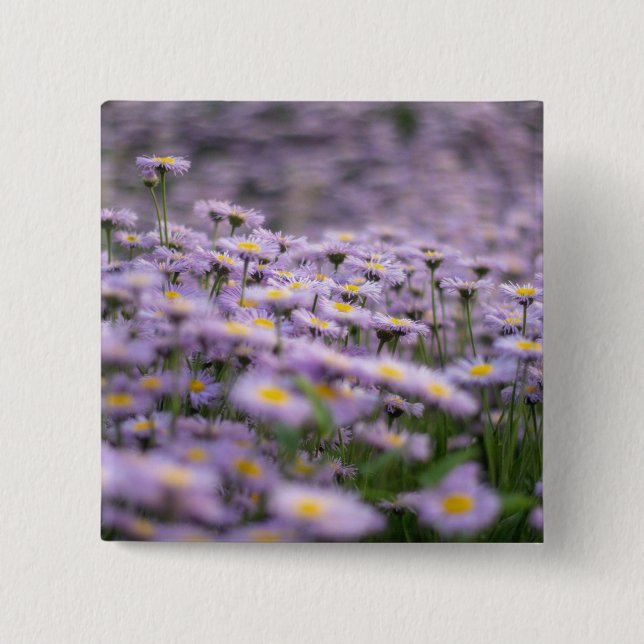 Lila Aster-Blume Button (Vorderseite)