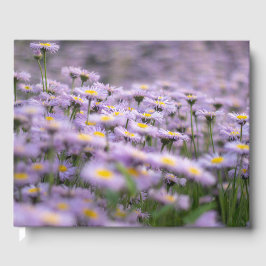 Lila Aster-Blume Gästebuch