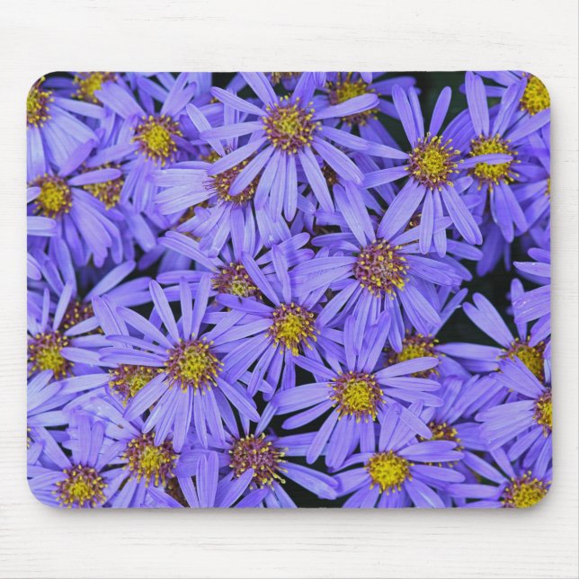 Lila Aster-Blume im RHS Garden Wisley Mousepad (Vorne)