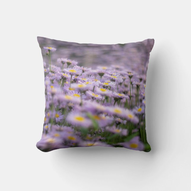 Lila Aster-Blume Kissen (Vorderseite)