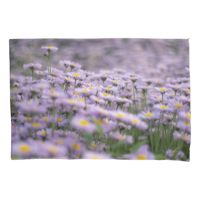 Lila Aster-Blume Kissenbezug (Vorderseite)