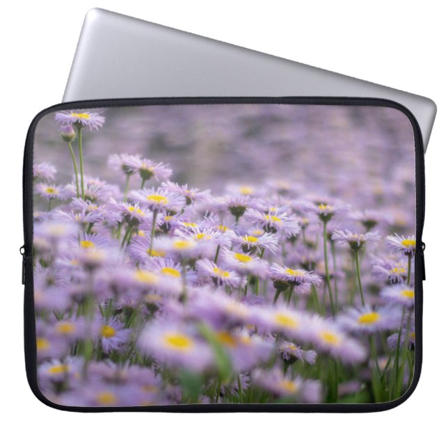 Lila Aster-Blume Laptopschutzhülle (Vorderseite)