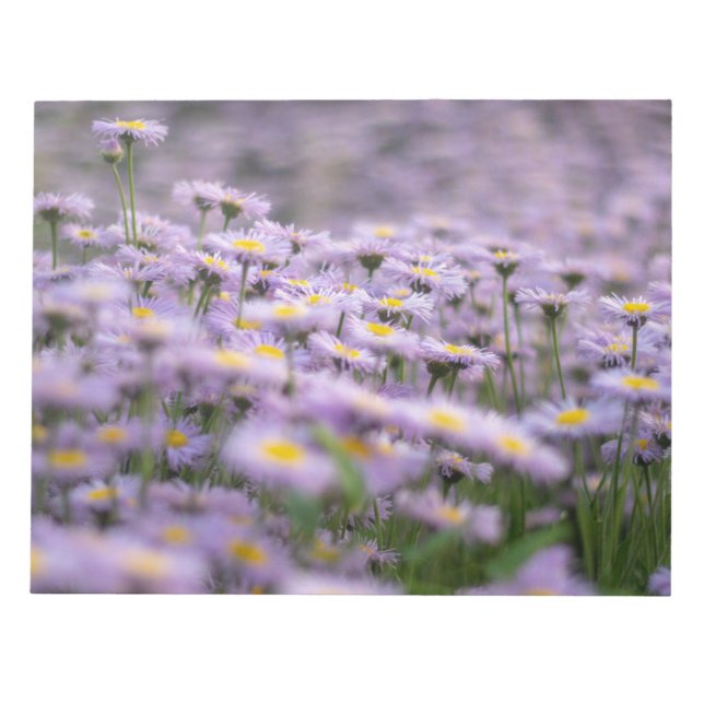 Lila Aster-Blume Notizblock (Vorderseite)