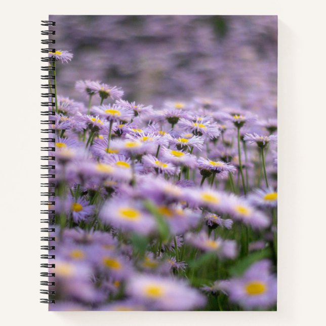 Lila Aster-Blume Notizbuch (Vorderseite)