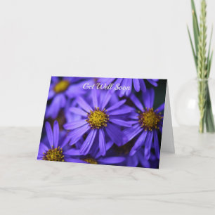 Lila Aster Blume Wisley Gardens bald wieder gut Karte