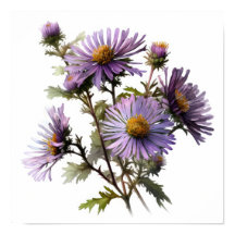 Lila Aster Blumen Art Print Poster