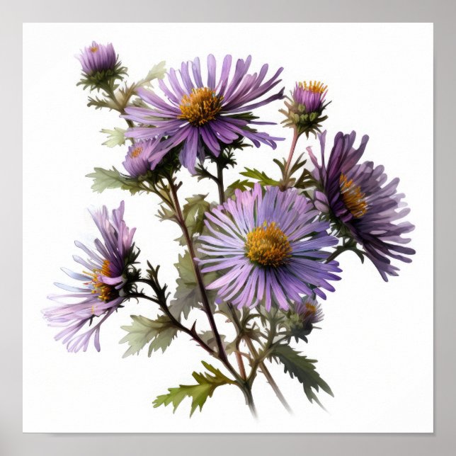Lila Aster Blumen Art Print Poster (Vorne)