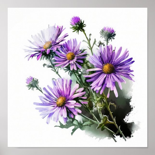 Lila Aster Blumen Art Print Poster (Vorne)