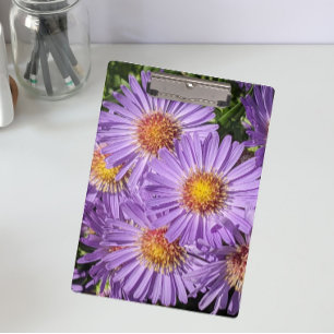 Lila Aster-Blumen Floral Klemmbrett