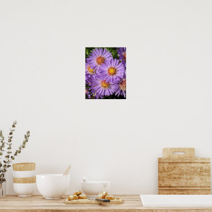 Lila Aster-Blumen Floral Poster