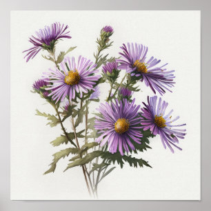 Lila Aster-Blumen-Kunstposter Poster