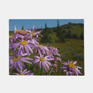 Lila Asterblüten am Mount Rainier Fußmatte