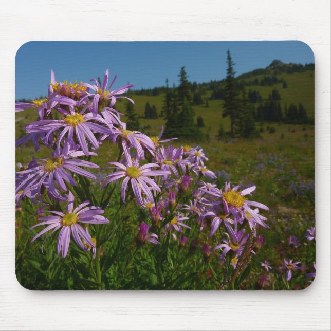 Lila Asterblüten am Mount Rainier Mousepad (Vorne)