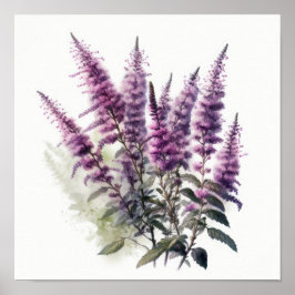 Lila Astilbe Blume Art Print Poster