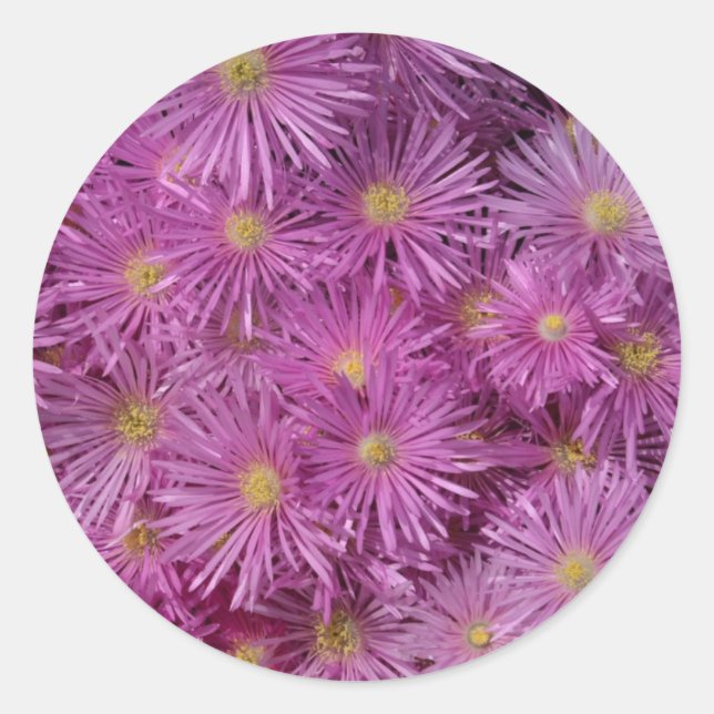 Lila Aufkleber für Blumenkohle Umschlag Aufkleber (Vorderseite)