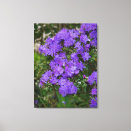 Lila Azalea Canvas Leinwanddruck
