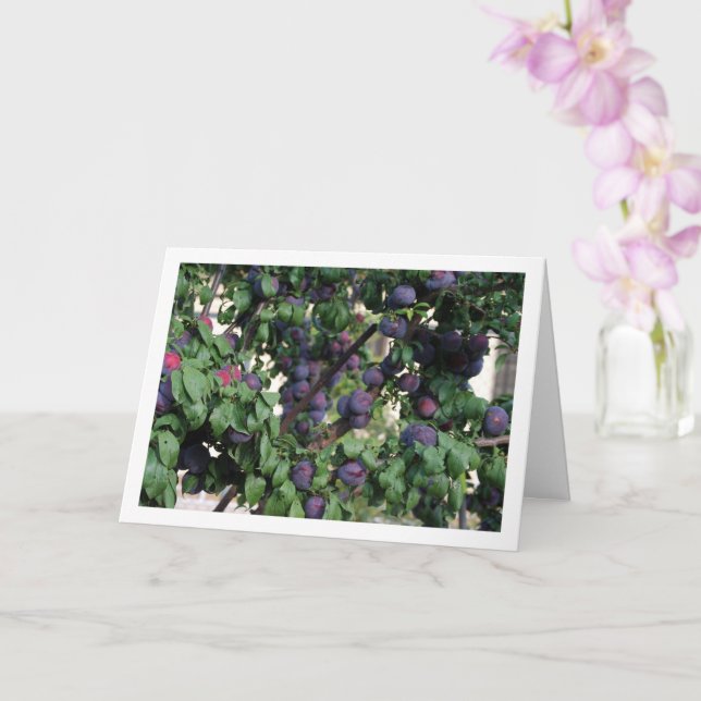 Lila Bäume Karte (Orchidee)