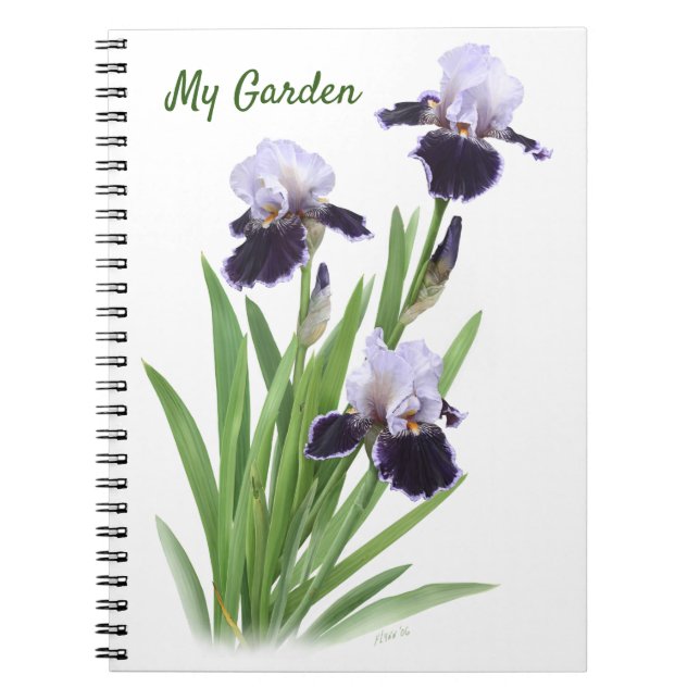 Lila Bearded Iris Trio Personalisiert Notizblock (Vorderseite)