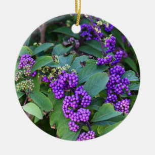 Lila Berries Foto Ornament