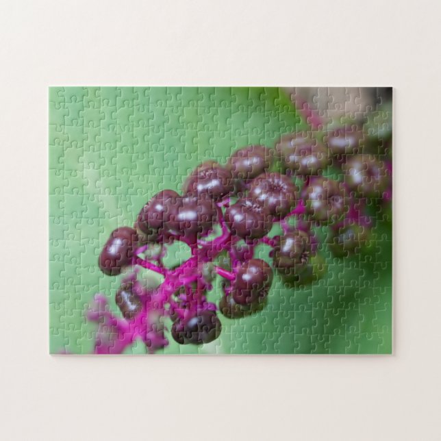 Lila Berries Puzzle (Horizontal)