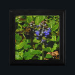 Lila Bienenvölker und Hummel Geschenkbox<br><div class="desc">Lila Bee Balm Blume Blossom und gelb-schwarz Hummeln Foto von Sandy Closs am Arrowhad See lila genommen,  "Bienenbalsam",  Blume,  Blume,  Blumen,  Frühling,  Kirsche,  Kirschen,  Garten,  Hochzeit,  Hochzeiten, </div>