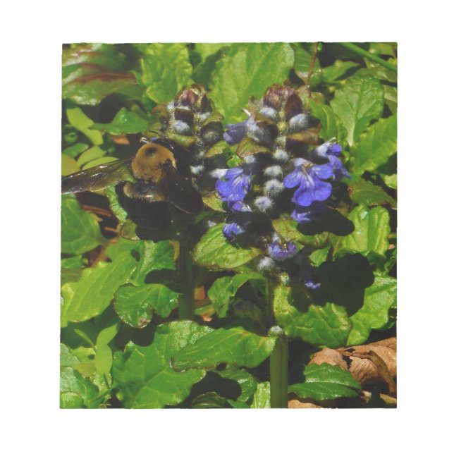 Lila Bienenvölker und Hummel Notizblock (Vorderseite)