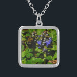 Lila Bienenvölker und Hummel Versilberte Kette<br><div class="desc">Lila Bee Balm Blume Blossom und gelb-schwarz Hummeln Foto von Sandy Closs am Arrowhad See lila genommen,  "Bienenbalsam",  Blume,  Blume,  Blumen,  Frühling,  Kirsche,  Kirschen,  Garten,  Hochzeit,  Hochzeiten, </div>