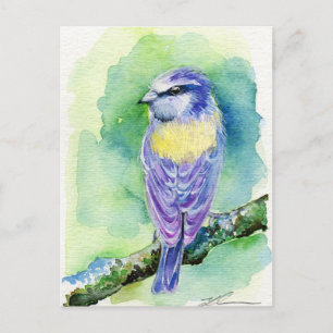 Lila Bird Postkarte