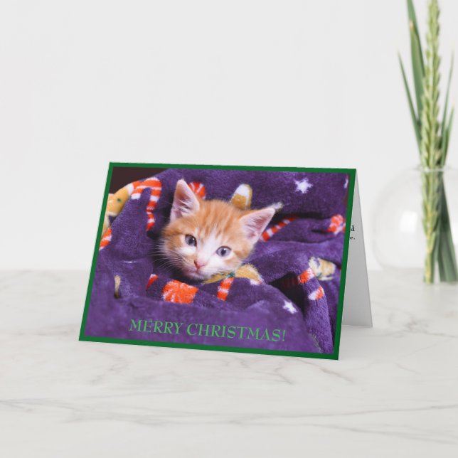 Lila Blanket Katze Frohe Weihnachten Orange Kitten (Vorderseite)