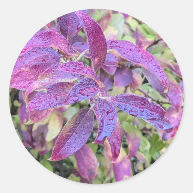 Lila Blätter auf Aufklebern Runder Aufkleber (Vorderseite)