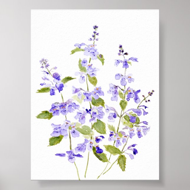lila-blaue lila violette Nepeta-Racemosa Walker Poster (Vorne)