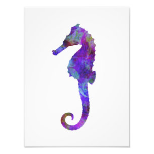 Lila Blaue Seepferdchen Aquarell Silhouette Vintag Fotodruck