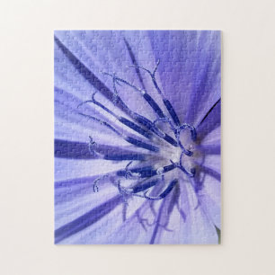 lila-blaue Zichorie Puzzle