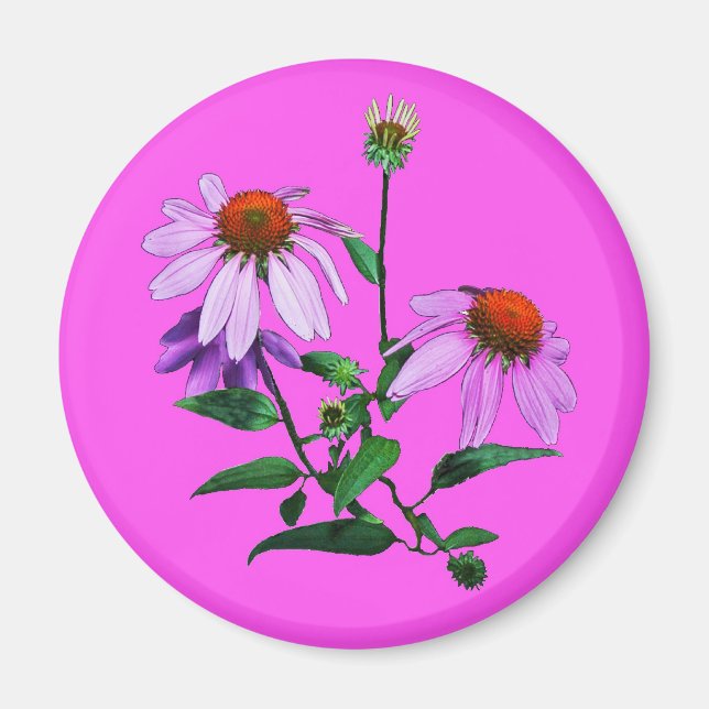 Lila Blende auf rosa Magnet (Vorne)