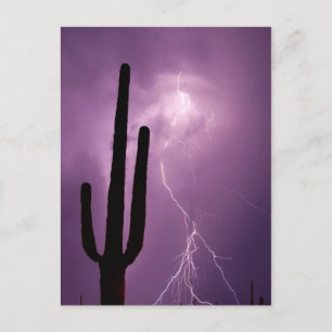 Lila Blitz und Kaktus, AZ Postkarte