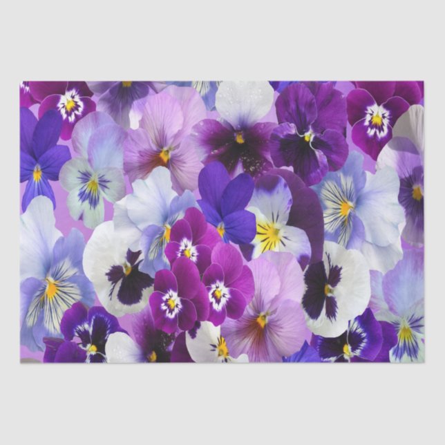 Lila Blue White Pansy Floral Blume Seidenpapier (Vorderseite)