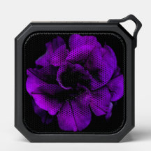 Lila Blume