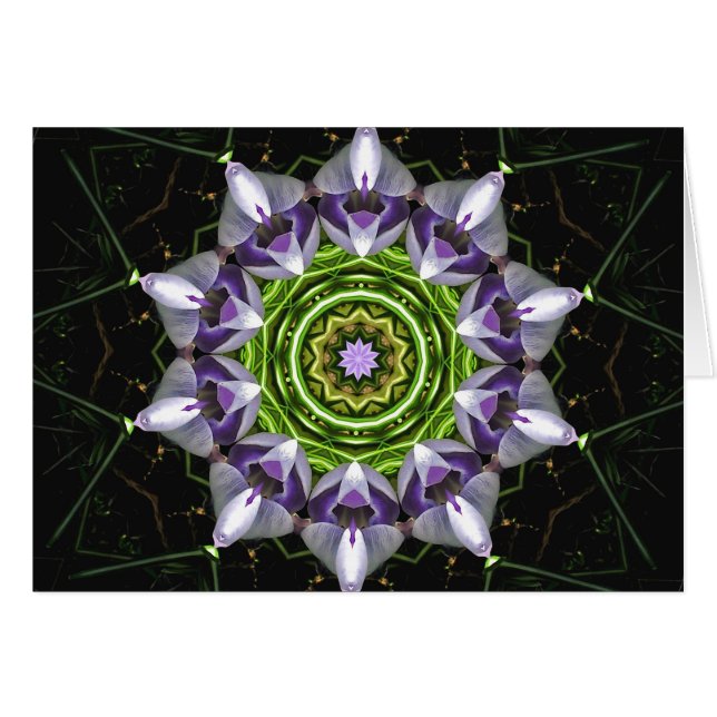 Lila Blume (Vorderseite (Horizontal))