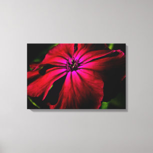 Lila Blume 24x16 (60x40cm) Waccn Leinwanddruck