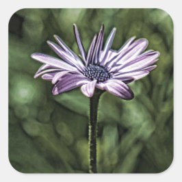 Lila Blume allein Stehend Quadratischer Aufkleber