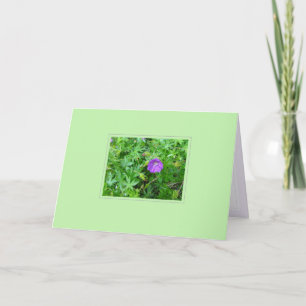 Lila Blume auf grüner Ebene Karte
