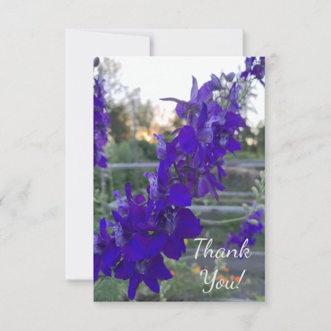 Lila Blume bei Sonnenuntergang Dankeskarte (Vorderseite)