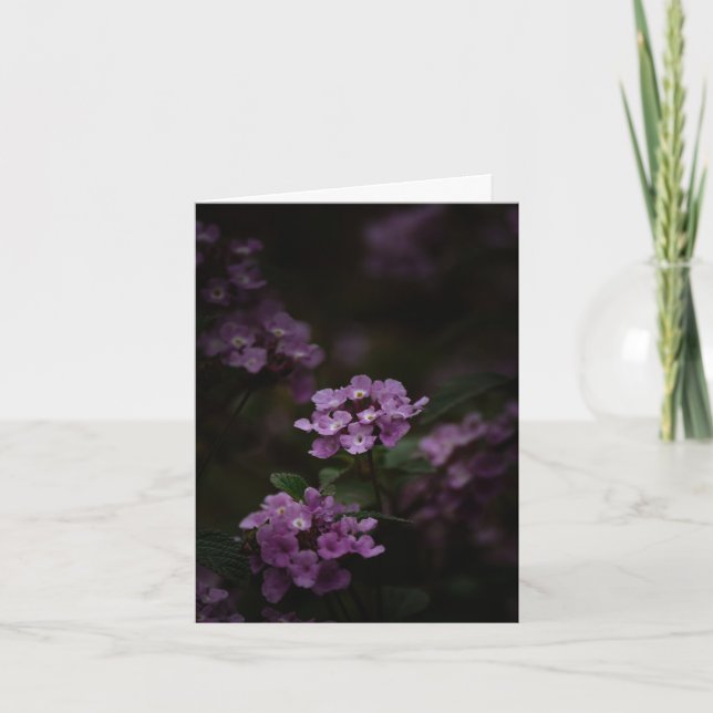 Lila Blume, Beileid Karte (Vorderseite)