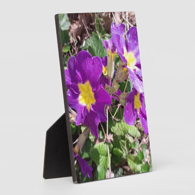 Lila Blume Fotoplatte (Seite)