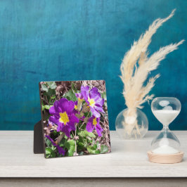 Lila Blume Fotoplatte