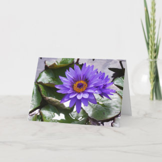 Lila Blume Geburtstagskarte 7 x 5 Karte