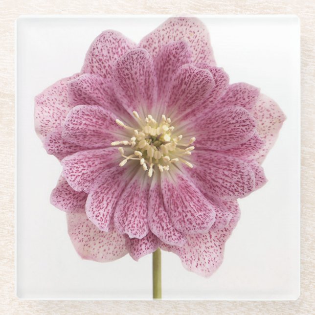 Lila Blume Glass Untersetzer (Vorderseite)