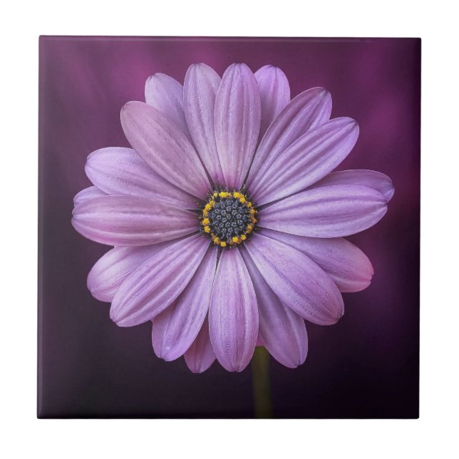 Lila Blume im Blut Fliese (Vorderseite)