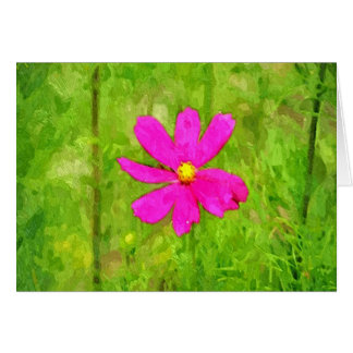 Lila Blume im Garten