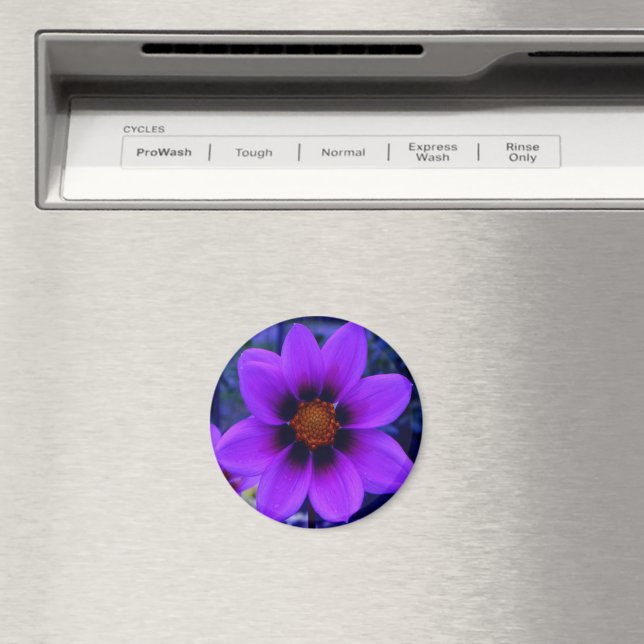 Lila Blume in der Abenddämmerung Magnet (In Situ (Geschirrspüler))